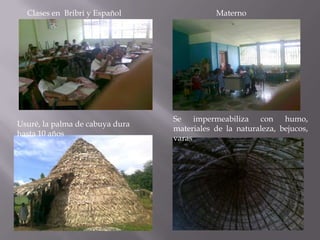 Clases en Bribri y Español                Materno




                                 Se impermeabiliza con humo,
Usuré, la palma de cabuya dura
                                 materiales de la naturaleza, bejucos,
hasta 10 años
                                 varas
 