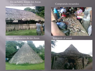En cachabri, donde los Awas
   (chamanes, médicos)             Comprando recuerdos




Usuré, explicación de los Awas   Entrando al usuré
 