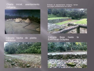 Charla inicial,   asentamiento   Entrada al asentamiento indígena, tenían
                                 que pagar posiblemente con cacao
indígena




Calzada hecha de piedra          Calzada llega hasta                   la
volcánica                        EARTH en Guápiles
 
