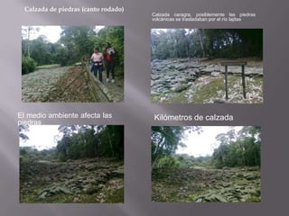 Calzada de piedras (canto rodado)
                                      Calzada caragra, posiblemente las piedras
                                      volcánicas se trasladaban por el río lajitas




El medio ambiente afecta las          Kilómetros de calzada
piedras
 