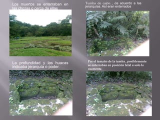 Los muertos se enterraban en   Tumba de cajón , de acuerdo a las
                               jerarquías. Así eran enterrados
las chozas o cerca de ellas




                                Por el tamaño de la tumba , posiblemente
La profundidad y las huacas     se enterraban en posición fetal o solo la
indicaba jerarquía o poder.     osamenta
 