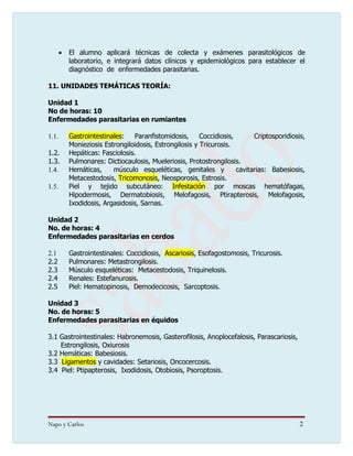 Taller Practico internet