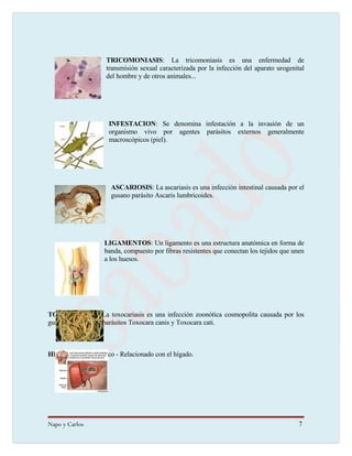 Taller Practico internet