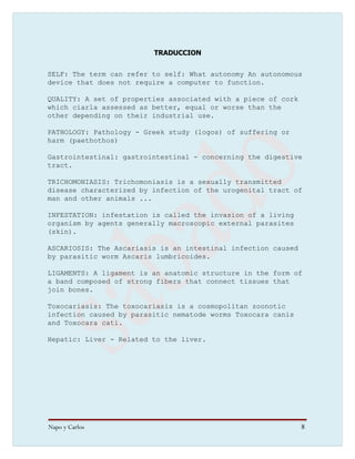 Taller Practico internet