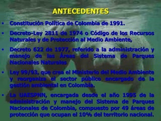 ANTECEDENTES   <ul><li>Constitución Política de Colombia de 1991 .   </li></ul><ul><li>Decreto-Ley 2811 de 1974 o Código d...
