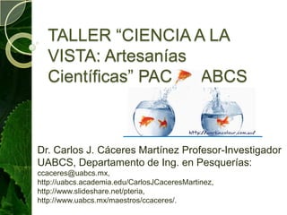 TALLER “CIENCIA A LA VISTA: Artesanías Científicas” PACE UABCS Dr. Carlos J. Cáceres Martínez Profesor-Investigador UABCS, Departamento de Ing. en Pesquerías: ccaceres@uabcs.mx, http://uabcs.academia.edu/CarlosJCaceresMartinez, http://www.slideshare.net/pteria, http://www.uabcs.mx/maestros/ccaceres/. 