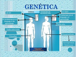 Imagen Tomada De
       “Ferato.com”
Blog Educativo de Medicina
 