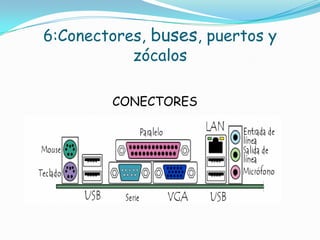6:Conectores, buses, puertos y
           zócalos

        CONECTORES
 