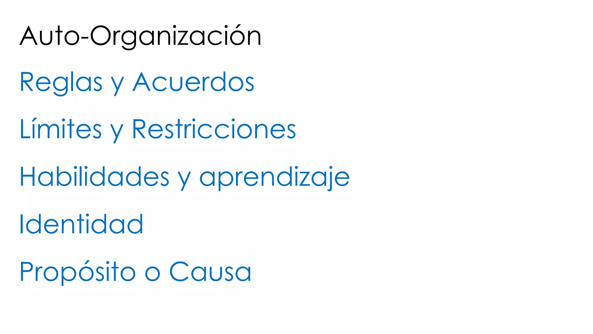 Auto-Organización
Reglas y Acuerdos
Límites y Restricciones
Habilidades y aprendizaje
Identidad
Propósito o Causa
 