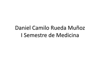 Daniel Camilo Rueda MuñozI Semestre de Medicina 