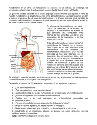 metabolismo en un 25%. El metabolismo se produce en las células, sin embargo, los
principales protagonistas de este proces...