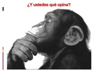 ¿Y ustedes qué opina?




                        12
 