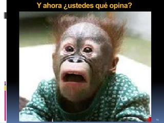 Y ahora ¿ustedes qué opina?




                              14
 