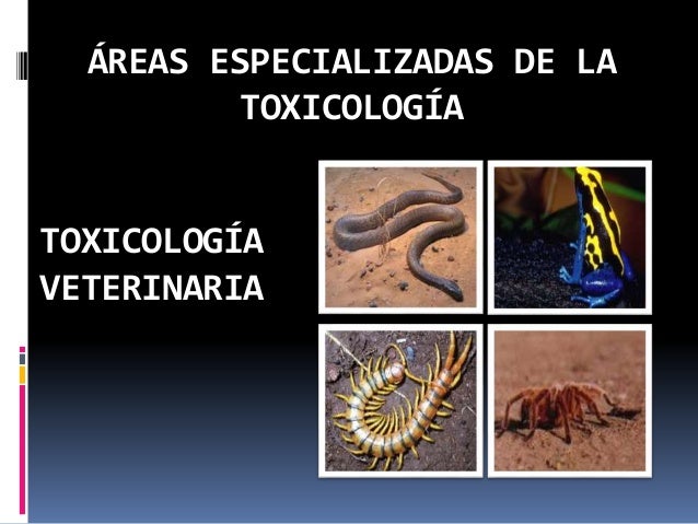 Taller 1 aspectos básicos de la toxicología.