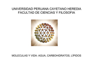 UNIVERSIDAD PERUANA CAYETANO HEREDIA
FACULTAD DE CIENCIAS Y FILOSOFIA

MOLECULAS Y VIDA: AGUA, CARBOHIDRATOS, LÍPIDOS

 