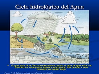 Ciclo hidrológico del AguaCiclo hidrológico del Agua
 El agua dulce de la Tierra se reaprovisiona cuando el vapor de agua entra a laEl agua dulce de la Tierra se reaprovisiona cuando el vapor de agua entra a la
atmósfera por transpiración vegetal y evaporación, libre de sales y otrasatmósfera por transpiración vegetal y evaporación, libre de sales y otras
impurezas que quedan abajo.impurezas que quedan abajo.
Fuente: Fredy Salinas a partir de sus trabajos de investigación.
 