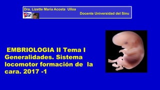 EMBRIOLOGIA II Tema I
Generalidades. Sistema
locomotor formación de la
cara. 2017 -1
Dra. Lizette María Acosta Ulloa
Docente Universidad del Sinu
 