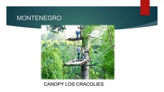 CANOPY LOS CRACOLIES
MONTENEGRO
 