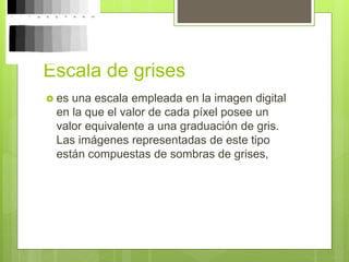 Escala de grises
 es una escala empleada en la imagen digital
en la que el valor de cada píxel posee un
valor equivalente a una graduación de gris.
Las imágenes representadas de este tipo
están compuestas de sombras de grises,
 