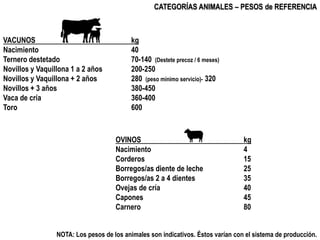 CATEGORÍAS ANIMALES – PESOS de REFERENCIA



VACUNOS                                    kg
Nacimiento                     ...