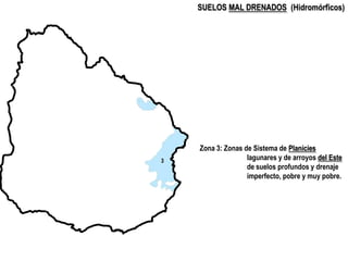 SUELOS MAL DRENADOS (Hidromórficos)




    Zona 3: Zonas de Sistema de Planicies
3                  lagunares y de arroyo...