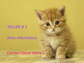 TALLER # 1
Area: Informatica
Carmen Elena Sierra C
CARMEN ELENA SIERRA C.
 