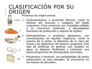 CLASIFICACIÓN POR SU
ORIGEN
Proteínas de origen animal:
a) Escleroproteínas o proteínas fibrosas: como la
elastina del músculo y colágeno del tejido
conjuntivo. Estas proteínas son insolubles debido
a su estructura molecular, y desempeñan
funciones de protección y soporte de tejidos.
b) Esferoproteínas o proteínas globulares: son
constituyentes de líquidos orgánicos, como la
caseína de la leche, la albúmina de la clara del
huevo y las globulinas del plasma sanguíneo. Este
tipo de proteínas en general, son solubles en
agua, se digieren fácilmente y contienen una
buena proporción de aminoácidos esenciales.
c) Protaminas e Histonas: son polipéptidos de pesos
moleculares no muy elevados. Se encuentran en
los huevos de pescados.
 