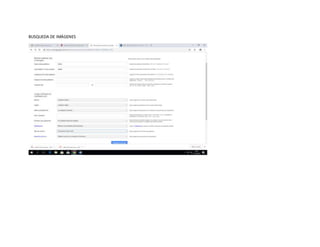 BUSQUEDA DE IMÁGENES
 