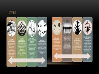 Ley de
proximidad.
Se da cuando
las partes de
una todo
reciben un
mismo
estímulo, se
forman grupos
en el sentido de
la mínima
distancia.
Ley de
igualdad o
equivalencia:
Cuando se nos
presentan varios
elementos de
diferentes
clases,
tendemos a
formar grupos
con los que son
iguales.
Ley de la
buena forma y
destino
común:
Esta nos ayuda a
captar lo esencial
de las formas que
se presentan.
Permite la fácil
lectura de las
figuras debido a
diferentes
factores como
destino, síntesis,
orden
Ley del
cerramiento:
Se logra cuando
el receptor asocia
el límite de una
superficie ó figura
de tal manera que
se forme un
contorno que en
realidad no
existe.
LEYES
Ley de la
experiencia: La
s experiencias
individuales
humanas
condicionan la
percepción que
se tenga de las
cosas.
Ley de simetría:
Se genera con el
equilibrio, dando
vida con pequeñas
modificaciones y
alteraciones. Se
logran formas
tridimensionales
cuando las figuras
son asimétricas, y
por otro lado, son
planas cuando son
simétricas..
Ley de
continuidad:
Esta ley tiene
como
característica
propia la forma
en que presenta
las formas..
Ley de figura-
fondo:
En esta ley se
presentan
figuras planas
sobre un
fondo, lo cual
crea una
percepción de
profundidad. .
 