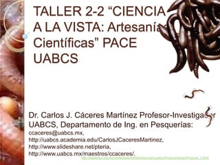 TALLER 2-2 “CIENCIA A LA VISTA: Artesanías Científicas” PACE UABCS Dr. Carlos J. Cáceres Martínez Profesor-Investigador UABCS, Departamento de Ing. en Pesquerías: ccaceres@uabcs.mx, http://uabcs.academia.edu/CarlosJCaceresMartinez, http://www.slideshare.net/pteria, http://www.uabcs.mx/maestros/ccaceres/. http://sepiensa.org.mx/contenidos/2008/lombrices/LombrizProduce/lombriProduce_1.html 