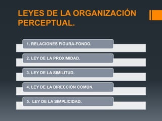 LEYES DE LA ORGANIZACIÓN
PERCEPTUAL.
1. RELACIONES FIGURA-FONDO.
2. LEY DE LA PROXIMIDAD.
3. LEY DE LA SIMILITUD.
4. LEY DE LA DIRECCIÓN COMÚN.
5. LEY DE LA SIMPLICIDAD.
 