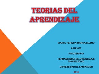MARIA TERESA CARVAJALINO

         05141030

       FISIOTERAPIA

HERRAMIENTAS DE APRENDIZAJE
       SIGNIFICATIVO

 UNIVERSIDAD DE SANTANDER

           2013
 