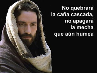 No quebrará
la caña cascada,
      no apagará
        la mecha
  que aún humea
 