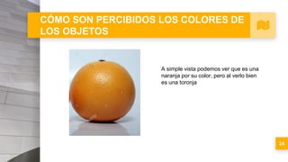 CÓMO SON PERCIBIDOS LOS COLORES DE
LOS OBJETOS
24
A simple vista podemos ver que es una
naranja por su color, pero al verlo bien
es una toronja
 