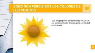 CÓMO SON PERCIBIDOS LOS COLORES DE
LOS OBJETOS
29
Esta imagen puede ser confundida con un sol
por contener el color amarillo, pero en realidad
es un girasol
 