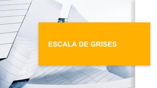 ESCALA DE GRISES
 