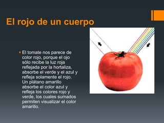 El rojo de un cuerpo
 El tomate nos parece de
color rojo, porque el ojo
sólo recibe la luz roja
reflejada por la hortaliza,
absorbe el verde y el azul y
refleja solamente el rojo.
Un plátano amarillo
absorbe el color azul y
refleja los colores rojo y
verde, los cuales sumados
permiten visualizar el color
amarillo.
 