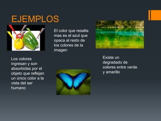 EJEMPLOS
Los colores
ingresan y son
absorbidas por el
objeto que reflejan
un único color a la
vista del ser
humano
El color que resalta
mas es el azul que
opaca al resto de
los colores de la
imagen
Existe un
degradado de
colores entre verde
y amarillo
 