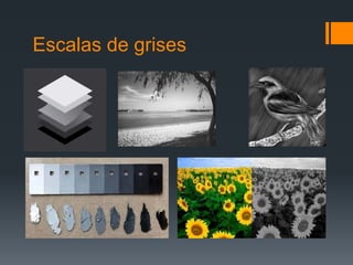 Escalas de grises
 