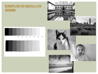 Taller 2 jessica c, stephanie