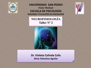 UNIVERSIDAD SAN PEDRO
         FILIAL TRUJILLO
  ESCUELA DE PSICOLOGÍA
SEGUNDA TITULACIÓN EN PSICOLOGÍA

   NEUROFISIOLOGÍA
       Taller Nº 2




  Dr. Violeta Celinda Celis
     Silvia Tolentino Aguilar
 