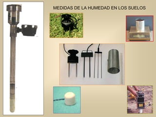 MEDIDAS DE LA HUMEDAD EN LOS SUELOS
 