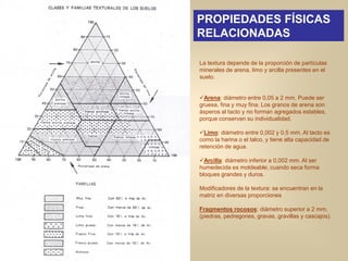 PROPIEDADES FÍSICAS
RELACIONADAS
La textura depende de la proporción de partículas
minerales de arena, limo y arcilla presentes en el
suelo.
Arena: diámetro entre 0,05 a 2 mm. Puede ser
gruesa, fina y muy fina. Los granos de arena son
ásperos al tacto y no forman agregados estables,
porque conservan su individualidad.
Limo: diámetro entre 0,002 y 0,5 mm. Al tacto es
como la harina o el talco, y tiene alta capacidad de
retención de agua.
Arcilla: diámetro inferior a 0,002 mm. Al ser
humedecida es moldeable; cuando seca forma
bloques grandes y duros.
Modificadores de la textura: se encuentran en la
matriz en diversas proporciones
Fragmentos rocosos: diámetro superior a 2 mm,
(piedras, pedregones, gravas, gravillas y cascajos).
 