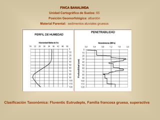 Clasificación Taxonómica: Fluventic Eutrudepts, Familia francosa gruesa, superactiva
FINCA BANALINDA
Unidad Cartográfica de Suelos: 65
Posición Geomorfológica: albardón
Material Parental: sedimentos aluviales gruesos
 