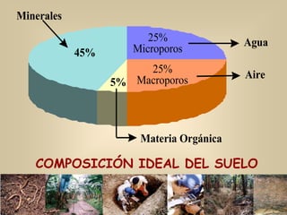 45%
25%
Microporos
25%
Macroporos5%
Agua
Aire
Materia Orgánica
Minerales
COMPOSICIÓN IDEAL DEL SUELO
 