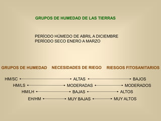 GRUPOS DE HUMEDAD DE LAS TIERRAS
PERÍODO HÚMEDO DE ABRIL A DICIEMBRE
PERÍODO SECO ENERO A MARZO
HM/SC
HM/LS
HM/LH
EH/HM
NECESIDADES DE RIEGO
ALTAS
MODERADAS
BAJAS
MUY BAJAS
RIESGOS FITOSANITARIOS
BAJOS
MODERADOS
ALTOS
MUY ALTOS
GRUPOS DE HUMEDAD
 