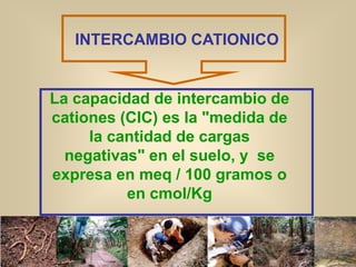 INTERCAMBIO CATIONICO
La capacidad de intercambio de
cationes (CIC) es la "medida de
la cantidad de cargas
negativas" en el suelo, y se
expresa en meq / 100 gramos o
en cmol/Kg
 