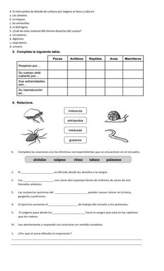4. El intercambio de dióxido de carbono por oxígeno se lleva a cabo en:
a. Los alvéolos.
b. la tráquea.
c. las ventanillas.
d. el diafragma.
5. ¿Cuál de estos sistemas NO elimina desechos del cuerpo?
a. circulatorio.
b. digestivo.
c. respiratorio.
d. urinario
 