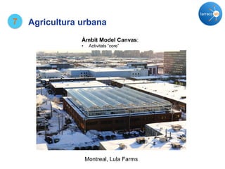 7 Agricultura urbana
Montreal, Lula Farms
Àmbit Model Canvas:
• Activitats “core”
 