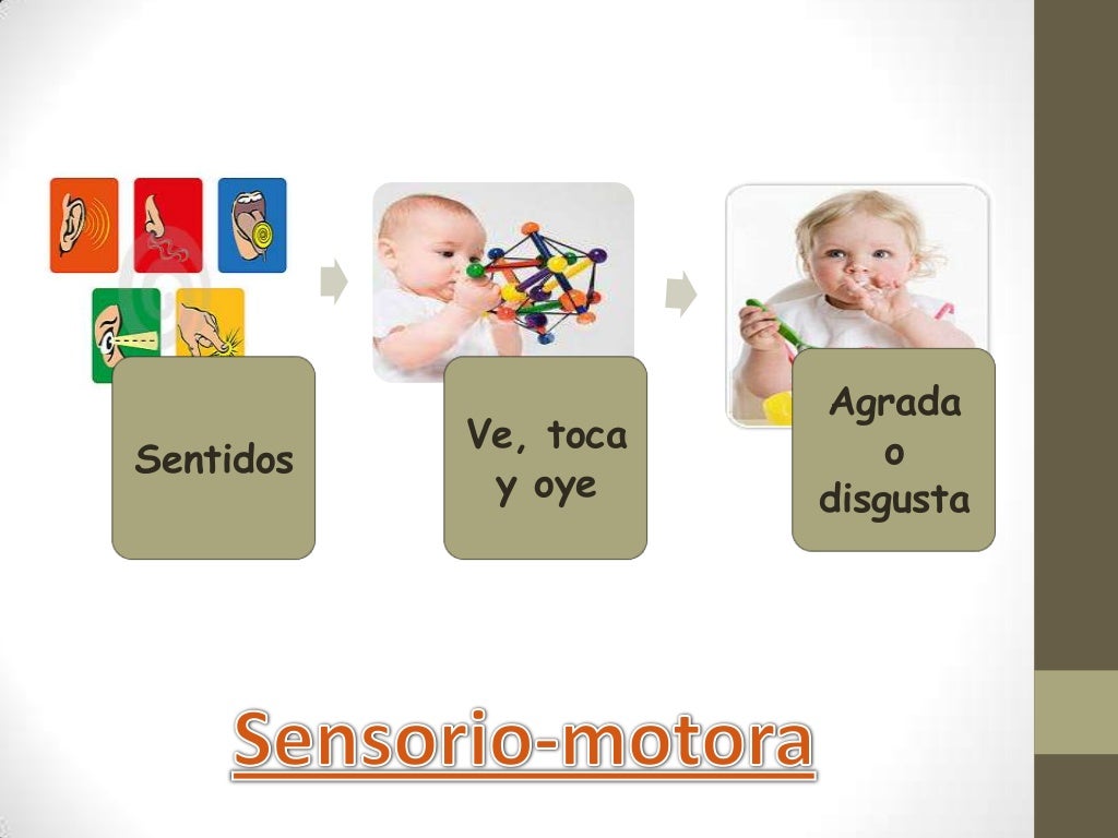 Etapas del Desarrollo Cognitivo según Piaget